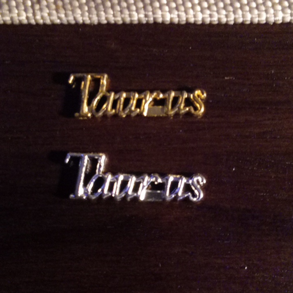 NEW TAURUS ZODIAC GOLD  &  SILVER TONE 3D METAL NAIL CHARMS (2PCS)